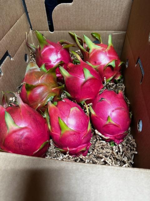 Dragon Fruit